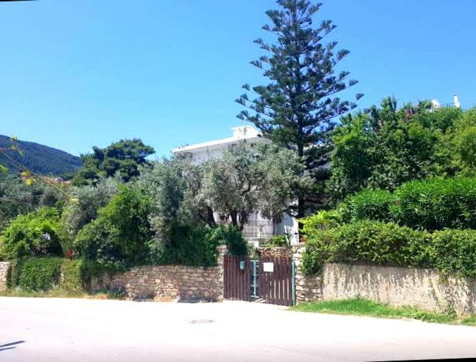 Greekowl Apartments 斯基亚索斯镇 客房 照片
